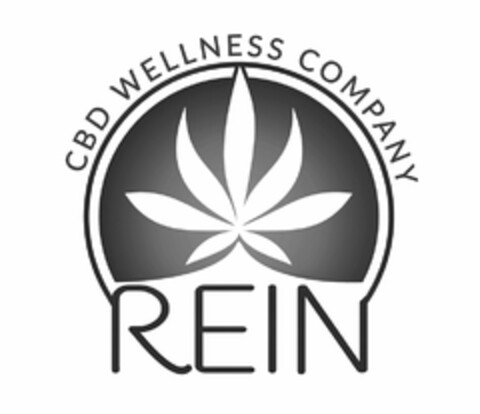 REIN CBD WELLNESS COMPANY Logo (USPTO, 04/19/2019)