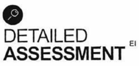 DETAILED ASSESSMENT EI Logo (USPTO, 15.07.2019)