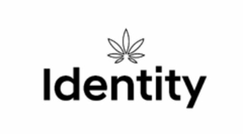 IDENTITY Logo (USPTO, 01/10/2020)