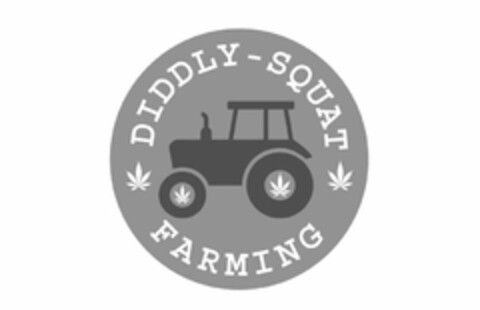 DIDDLY - SQUAT FARMING Logo (USPTO, 15.03.2020)