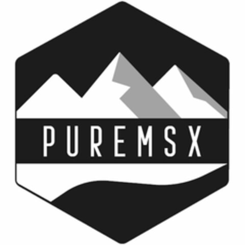 PUREMSX Logo (USPTO, 24.04.2020)