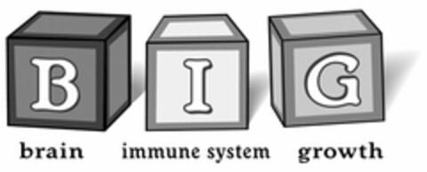 BIG BRAIN IMMUNE SYSTEM GROWTH Logo (USPTO, 06.04.2011)