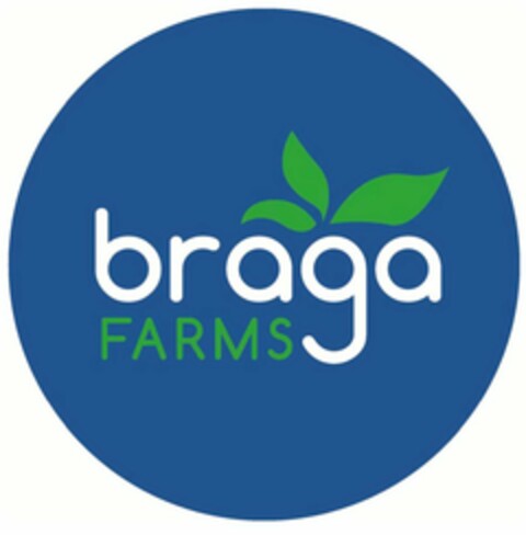 BRAGA FARMS Logo (USPTO, 14.03.2016)