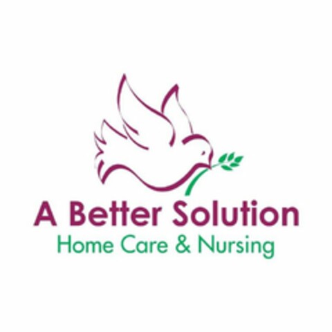 A BETTER SOLUTION HOME CARE & NURSING Logo (USPTO, 27.10.2016)