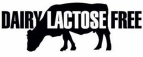 DAIRY LACTOSE FREE Logo (USPTO, 28.10.2010)