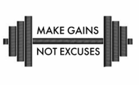 MAKE GAINS NOT EXCUSES Logo (USPTO, 02/18/2019)