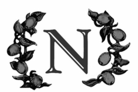 N Logo (USPTO, 07.05.2019)