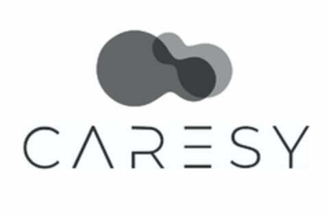 CARESY Logo (USPTO, 13.01.2020)