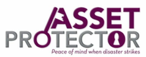 ASSET PROTECTOR PEACE OF MIND WHEN DISASTER STRIKES Logo (USPTO, 07/17/2009)