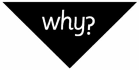 WHY? Logo (USPTO, 12.07.2013)