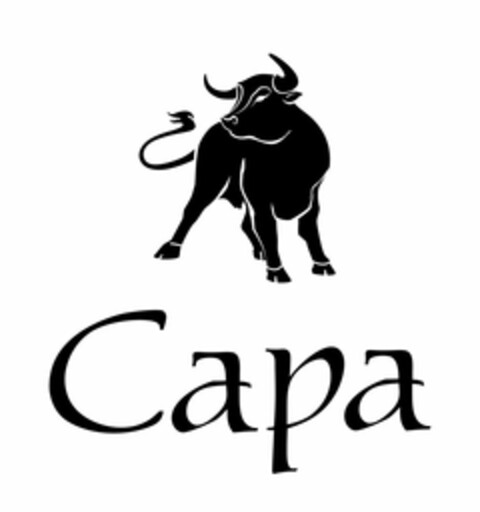 CAPA Logo (USPTO, 06.11.2015)