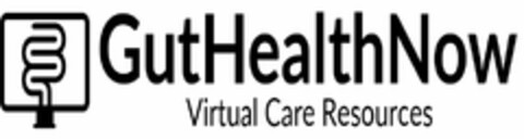 GUTHEALTHNOW VIRTUAL CARE RESOURCES Logo (USPTO, 31.08.2020)