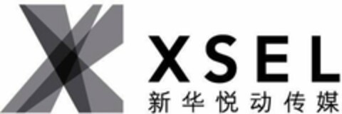 X XSEL Logo (USPTO, 05/06/2009)