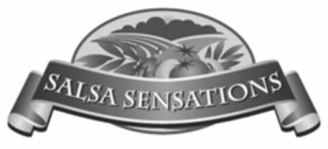 SALSA SENSATIONS Logo (USPTO, 05/12/2010)