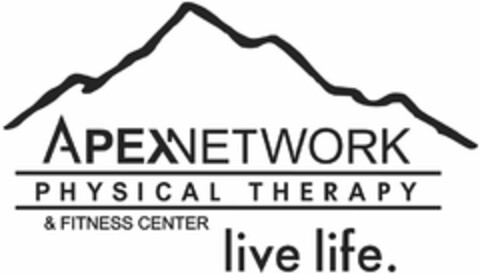 APEXNETWORK PHYSICAL THERAPY & FITNESS CENTER LIVE LIFE. Logo (USPTO, 05.01.2011)