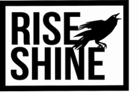 RISE SHINE Logo (USPTO, 06/18/2013)