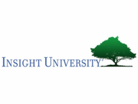 INSIGHT UNIVERSITY Logo (USPTO, 01.08.2013)