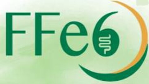 FFE6 Logo (USPTO, 30.01.2019)