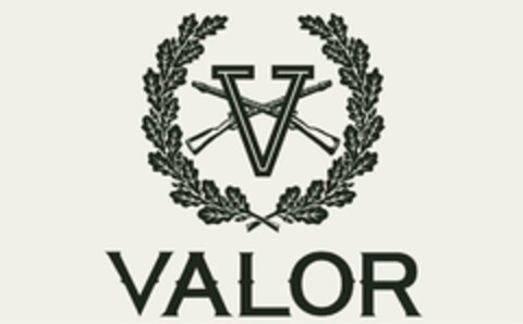 V VALOR Logo (USPTO, 21.06.2017)