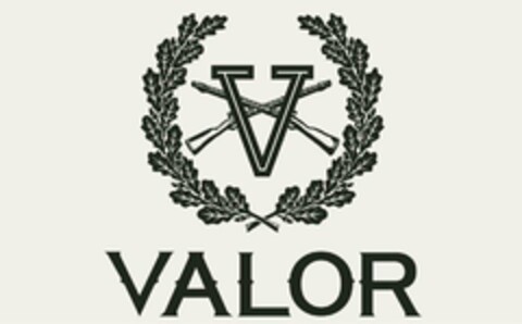 V VALOR Logo (USPTO, 06/21/2017)