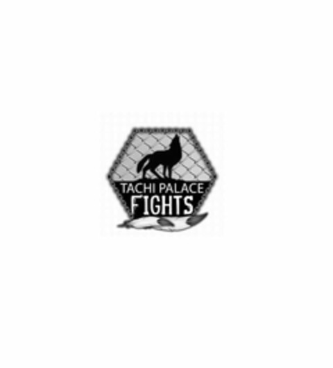 TACHI PALACE FIGHTS Logo (USPTO, 06.04.2018)