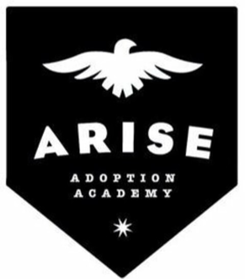 ARISE ADOPTION ACADEMY Logo (USPTO, 12.03.2019)