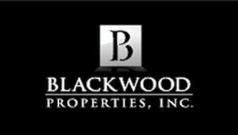 BP BLACKWOOD PROPERTIES, INC. Logo (USPTO, 15.06.2011)