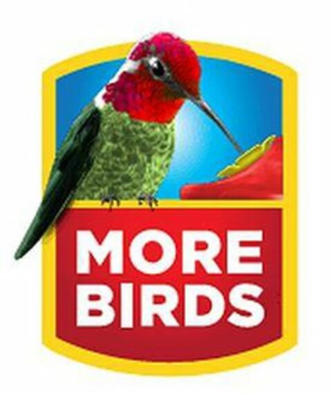 MORE BIRDS Logo (USPTO, 12/07/2017)