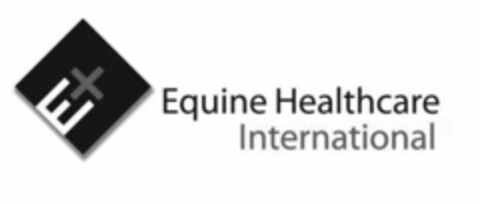 EQUINE HEALTHCARE INTERNATIONAL E+ Logo (USPTO, 02/06/2020)