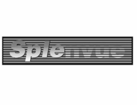 SPLENVUE Logo (USPTO, 24.02.2010)