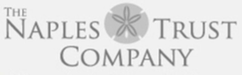 THE NAPLES TRUST COMPANY Logo (USPTO, 29.07.2010)