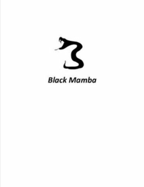 BLACK MAMBA Logo (USPTO, 16.04.2013)