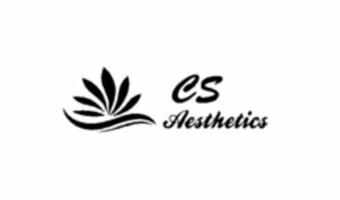 CS AESTHETICS Logo (USPTO, 30.08.2017)