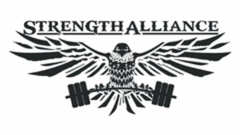 STRENGTH ALLIANCE Logo (USPTO, 10/19/2017)