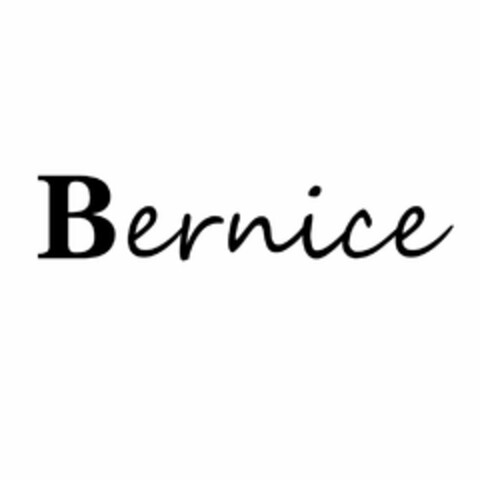 BERNICE Logo (USPTO, 10.09.2020)