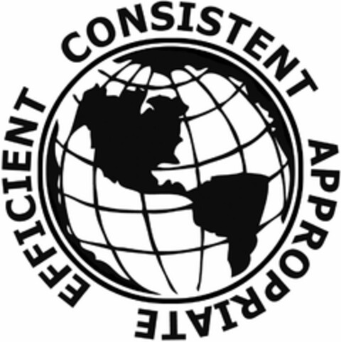 CONSISTENT APPROPRIATE EFFICIENT Logo (USPTO, 06.03.2009)