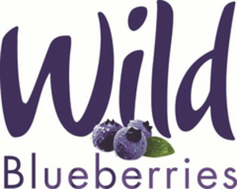 WILD BLUEBERRIES Logo (USPTO, 04.04.2014)