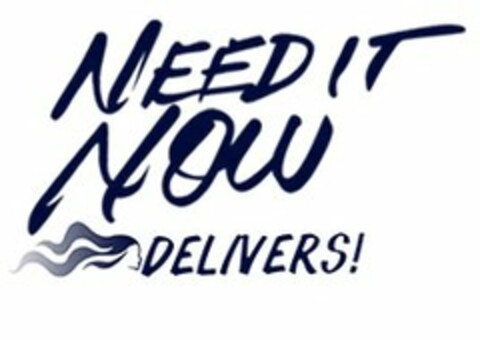 NEED IT NOW DELIVERS! Logo (USPTO, 12/01/2016)