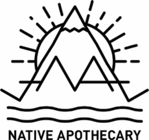 NATIVE APOTHECARY NA Logo (USPTO, 11.08.2017)