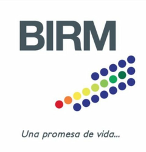 BIRM UNA PROMESA DE VIDA Logo (USPTO, 07.05.2018)