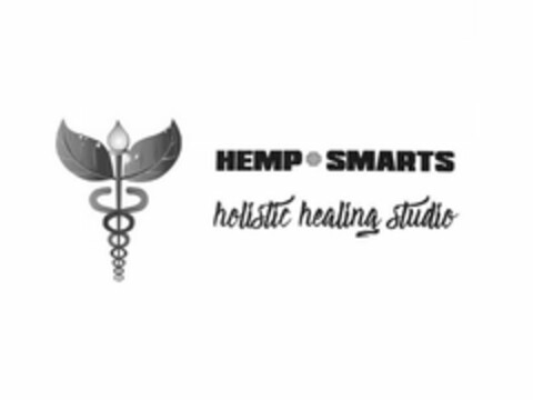 HEMP+SMARTS HOLISTIC HEALING STUDIO Logo (USPTO, 07/13/2018)