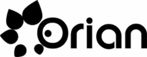 ORIAN Logo (USPTO, 10.10.2019)