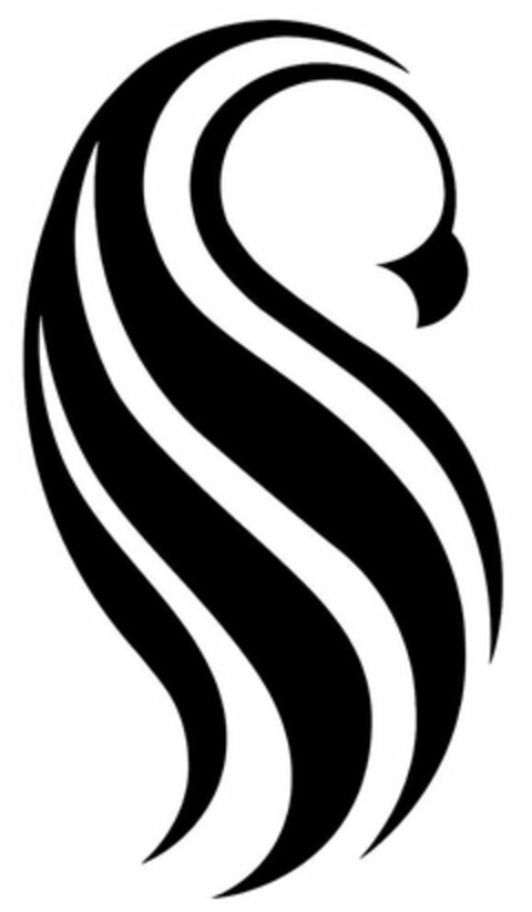 S Logo (USPTO, 01/28/2020)