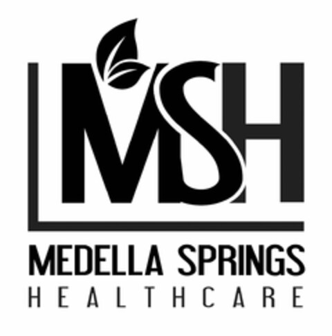 MSH MEDELLA SPRINGS HEALTHCARE Logo (USPTO, 04/13/2020)