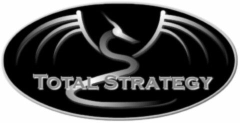 TOTAL STRATEGY Logo (USPTO, 25.01.2010)