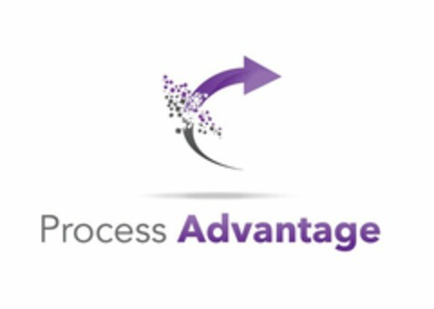 PROCESS ADVANTAGE Logo (USPTO, 10/11/2013)