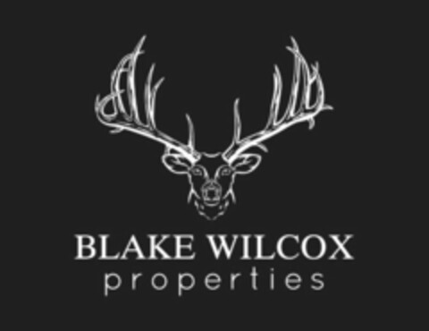 BLAKE WILCOX PROPERTIES Logo (USPTO, 11/17/2015)