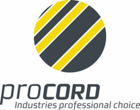 PROCORD INDUSTRIES PROFESSIONAL CHOICE Logo (USPTO, 12.01.2016)