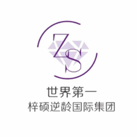 ZS Logo (USPTO, 10.09.2018)