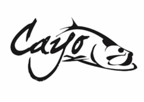 CAYO Logo (USPTO, 18.11.2019)